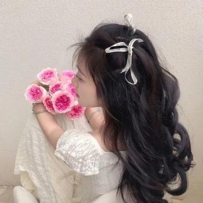孤胆义侠